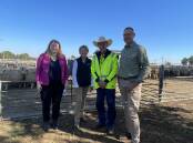 Agriculture Minister Tara Moriarty with Murray MP Helen Dalton, Les Warren from Griffith saleyards and Griffith Mayor Doug Curran where Ms Moriarty made a $1.4m eID infrastructure announcement. Picture by Allan Wilson.