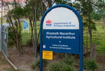 The Elizabeth Macarthur Agricultural Institute at Menangle.Picture by DPI