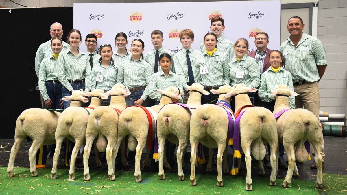 The Macarthur Anglican School and their winning lineup of White Suffolks at the Sydney Royal schools meat sheep competition. Picture: Clare Adcock