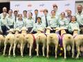 The Macarthur Anglican School and their winning lineup of White Suffolks at the Sydney Royal schools meat sheep competition. Picture: Clare Adcock