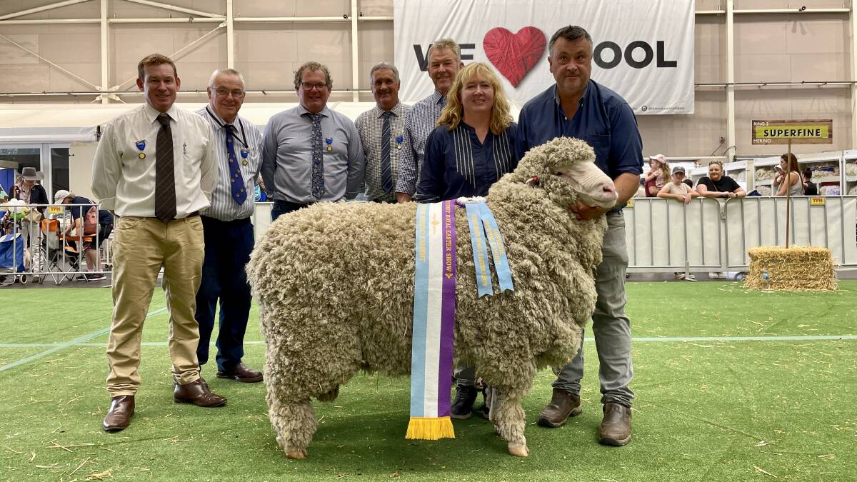 Outstanding individual of a ram chosen as the supreme Merino by a five-judge panel