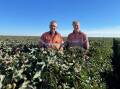 John 'Cowboy' Cameron and his son Bob are overall winners of the 2023-4 FastStart cotton establishment awards' dryland category. Picture supplied
