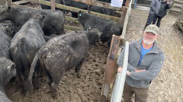 Rod Kruger, Snowline Pty Ltd, Anembo, sold 20 Angus steers, 325kg, with Hazeldean and Clea Angus blood, for 339c/kg or $1102. 