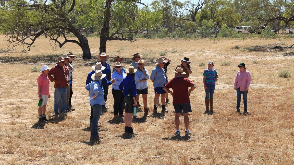 The plant identification field held at Naree Station, via Fords Bridge was well attended by district landholders. Photo: supplied.