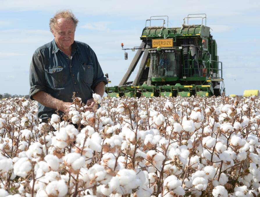 Deep into his cotton picking, Ross Elder, "Waverleigh", Narromine inspecting his crop of 75BRF cotton currently averaging 16 bales per hectare. Mr Elder is very pleased with the variety which has less environmental impact.