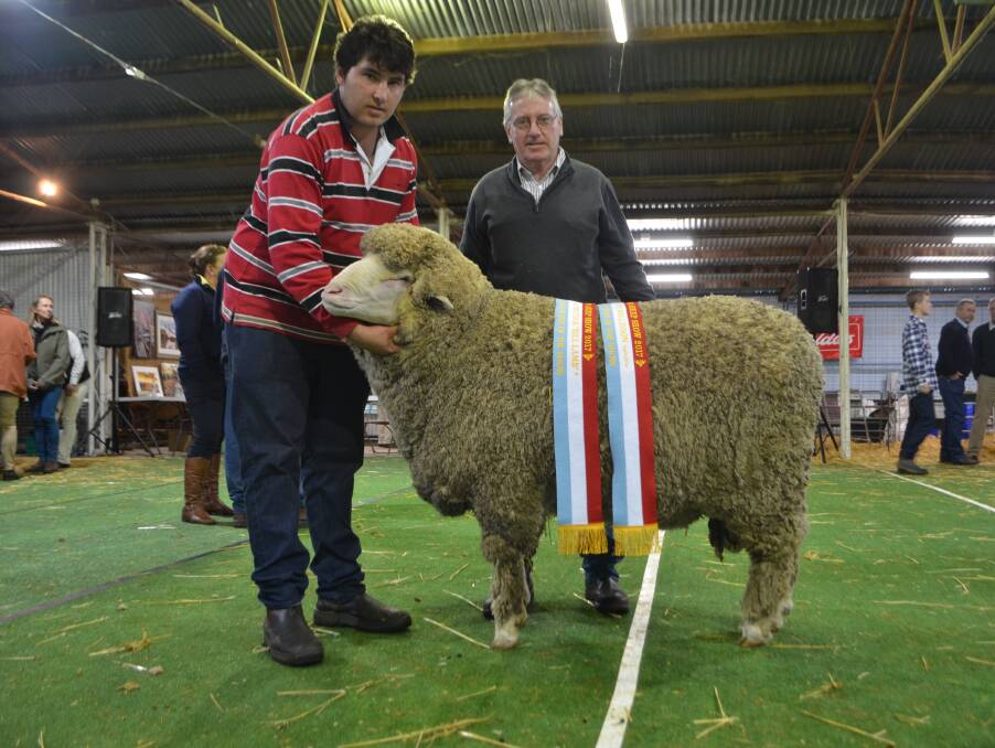 Jack and Warren McRae, Oakbank Poll Merinos, St Arnaud, Victoria with their supreme exhibit, judged grand champion ram and champion strong wool ram.