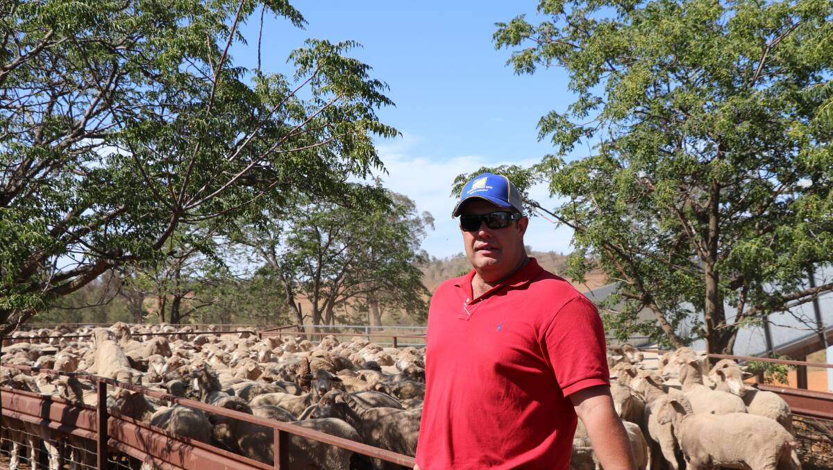 Steve Cooper, Burrabeena, Caragabal with his Rocklyn-blood maiden ewes winners of the Caragabal flock ewe competition and also receiving the peoples choice award. Photo: supplied