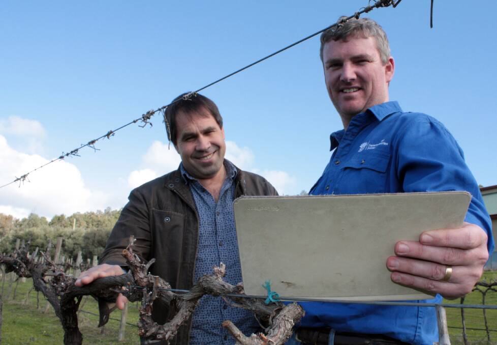 Wine grape innovation: NSW Department of Primary Industries viticultural leader, Dr Greg Dunn and industry development officer, Adrian Englefield are keyed up over new technology which promises to deliver new ways of thinking and working in local vineyards. Photo: Bernadette York.
