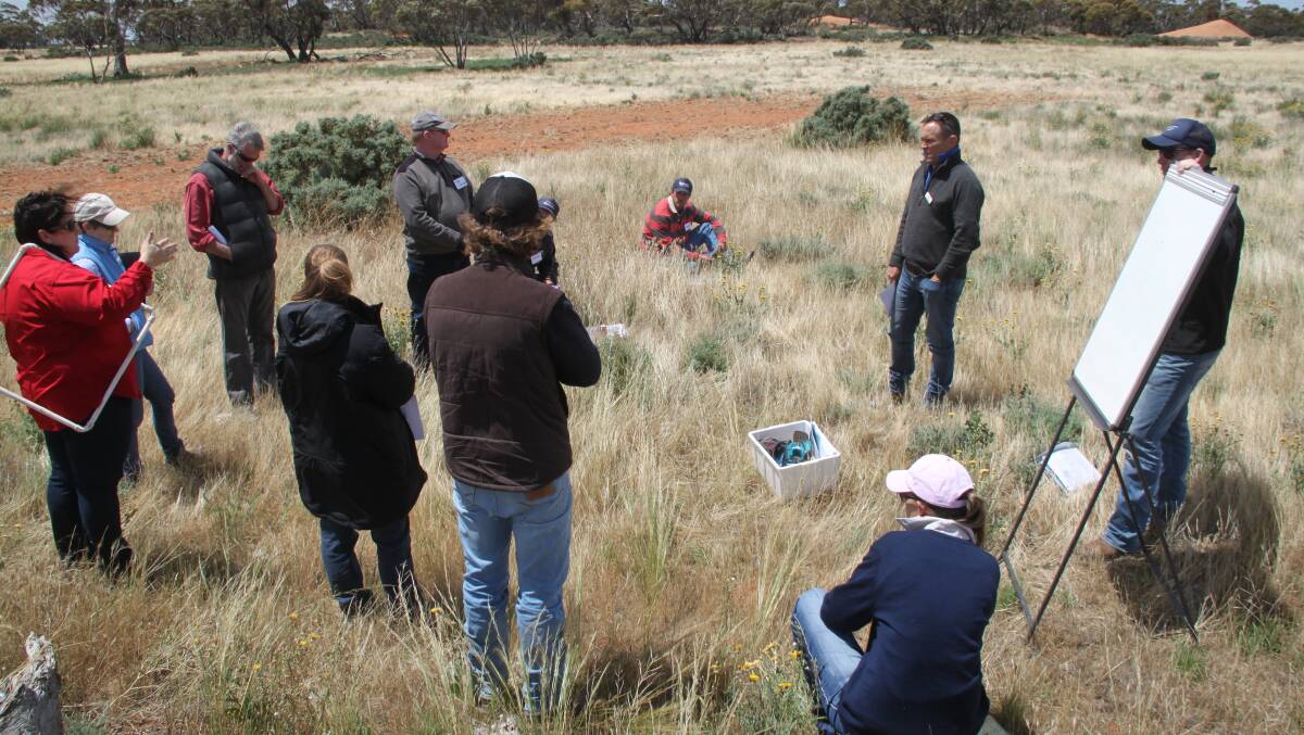 Rangeland grazing: NSW Department of Primary Industries Development Officers Geoff Casburn and Trudie Atkinson discuss the concept of determining forage availability within a paddock. Photo: supplied.
