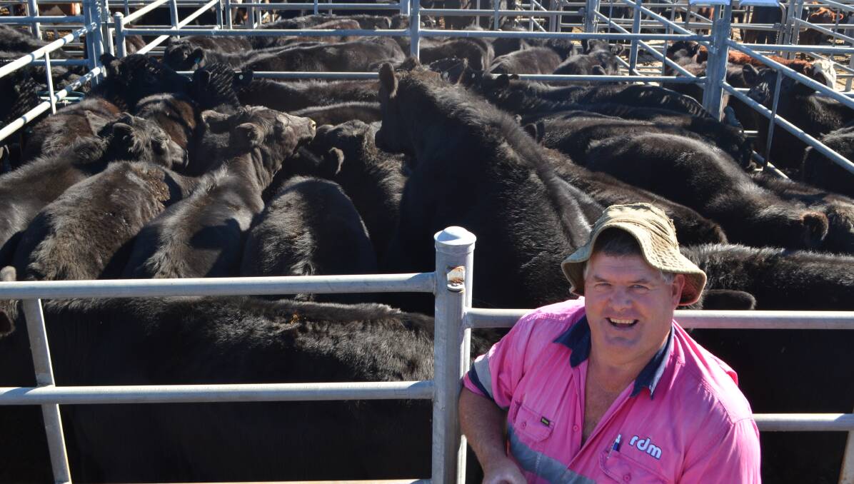 Philip Dummett, manager for Ray Miller, Greendale, with 29, 325kg Angus steers, Hazeldean-blood, which sold for $1310 at Bega last Thursday. 
