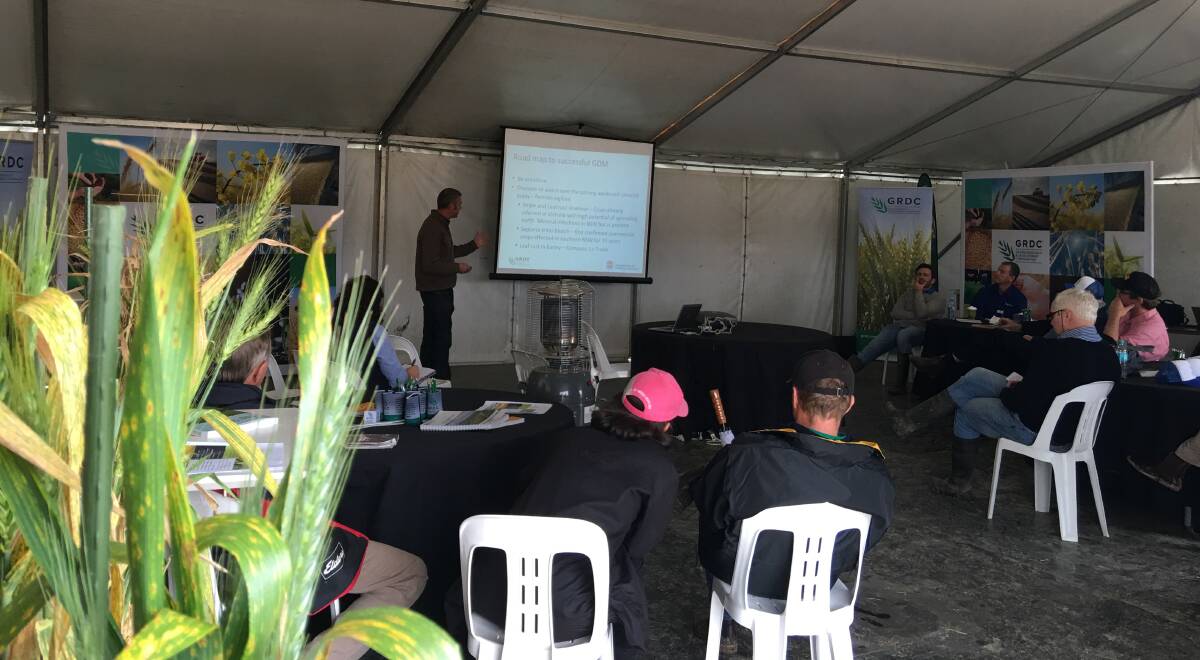 Wheat disease: Speaking in the GRDC tent at the Henty Field Days, NSW DPI plant pathologist, Andrew Milgate, advised growers to be on the lookout for STB which hasn't been seen in NSW for 15 years. Photo: supplied.
