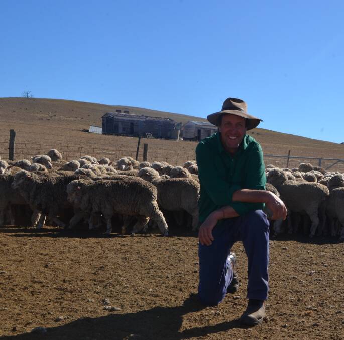 Triumph: Doug Constance, "Werralong", Berridale, with a selection of his Cottage Park-blood maiden ewes which were awarded the John Mooney Trophy.