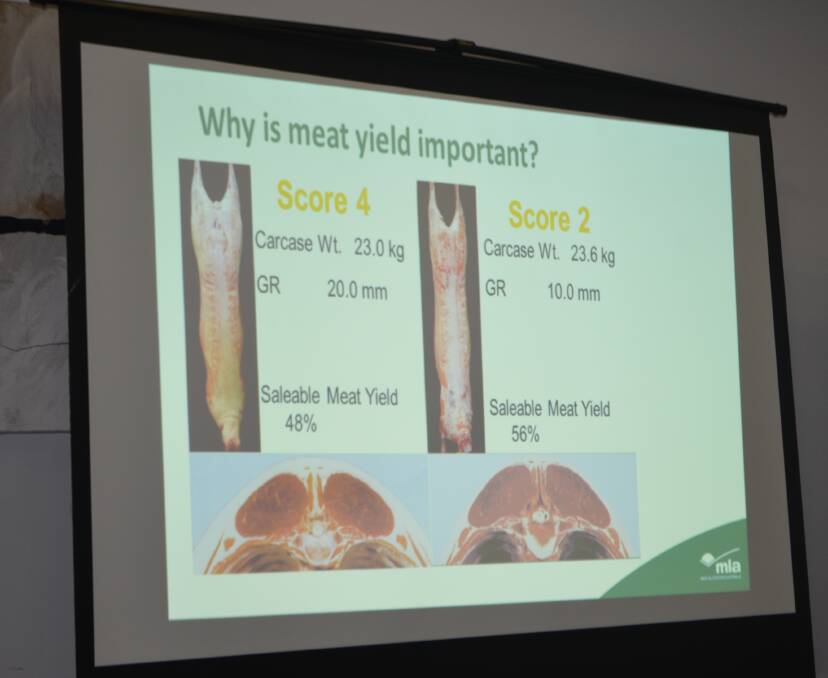 Meat yield is important for the extra returns which can be extracted from lamb carcasses. "The score two 23kg carcass had an extra 2.7kg of saleable product.”
