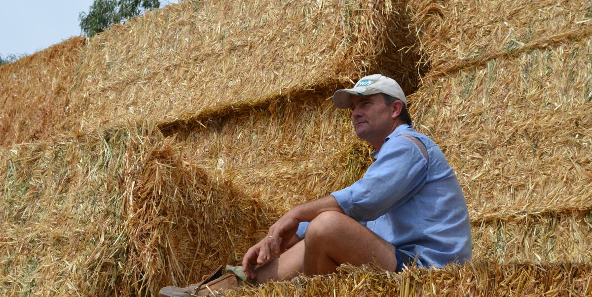 Fourth-generation southern Riverina farmer, Brendan Farrell contemplating the logistics of transporting 5000 round and square bales of hay to drought stricken graziers in Queensland. This will be the tenth convoy since 2013.
