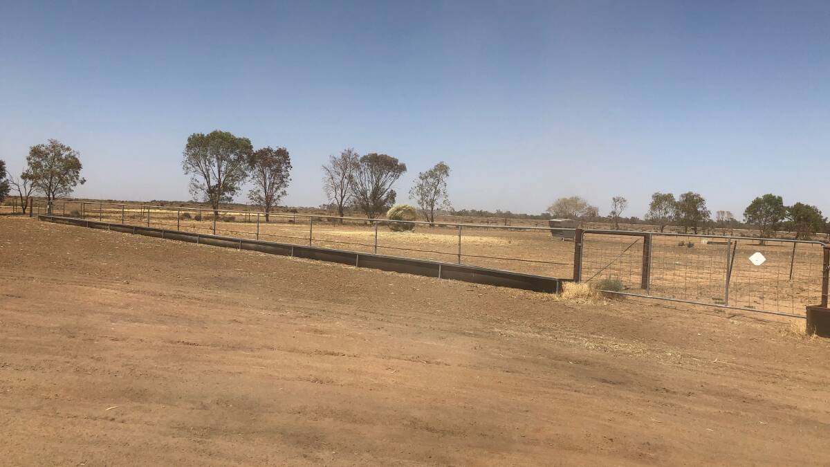 Drought lot tour which will offer insights and opportunities for landholders to improve their livestock and property management during dry times. Photo: supplied