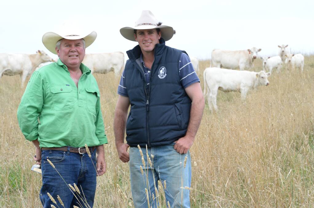 Michael and James Millner, "Rosedale", Blayney, believe the trial feedback gives them confidence in their breeding strategy. 
 