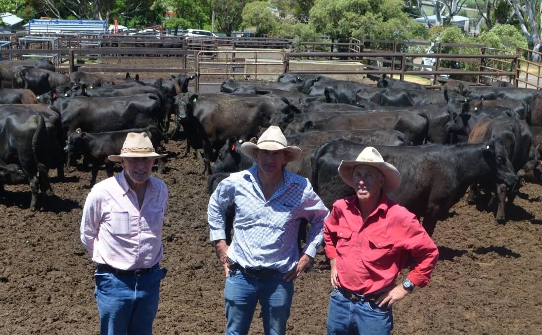 Vendors John, Angus and Andy Campbell, Taralga, with their pen of PTIC two year cows with calves, sold to $2750. They have offered their surplus Hazeldean-blood Angus females through this sale for many years.
