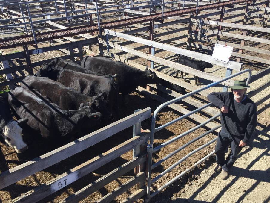 Peter Grant with his six Angus cows with calves which made $1270 at the Braidwood store sale last Friday. Photo: Geoff Baker