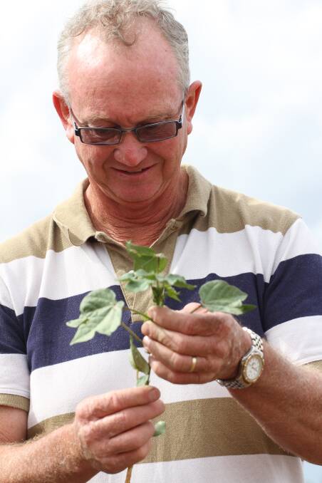 Appointment:  Based at Yanco, new Department of Primary Industries cotton research officer, Steve Buster, is supporting growers in the Hillston, Condobolin, Griffith, Coleambally and Berrigan districts. Photo: supplied.
