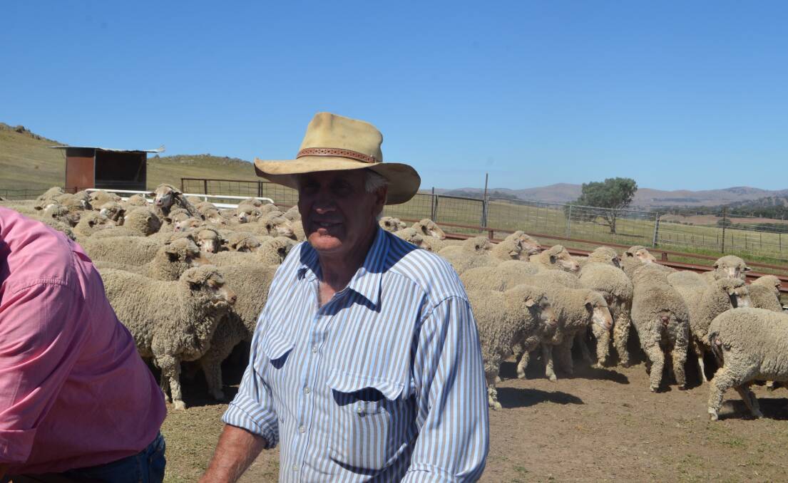 Overall winner: Dacre Weston, Shalom, Bookham with his Broula-blood maiden Merino ewes he estimated will cut 8kg.