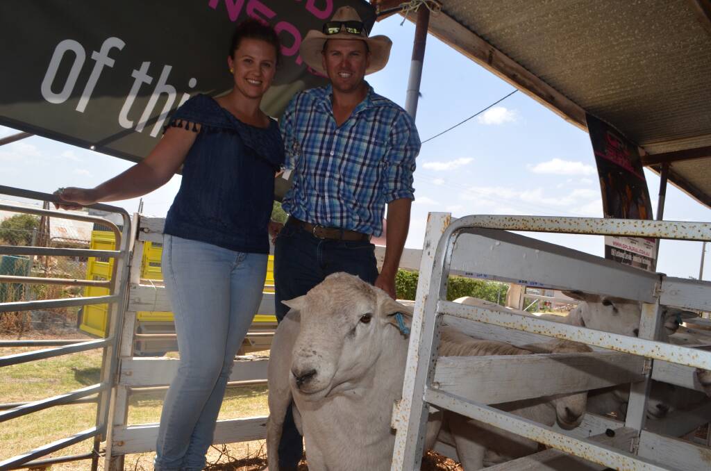 Return buyers, Phillipa and Daniel Jones, "Needlewood", Condobolin, with one of the two rams they paid $3250 for in their draft of six rams which averaged $2792.