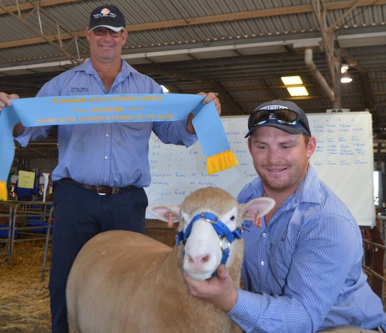 Andrew and Joe Scott, Valley Vista Poll Dorsets, Coolac, with their supreme dam exhibit in the prime lamb and dual-purpose breed section at the Royal Canberra Show.