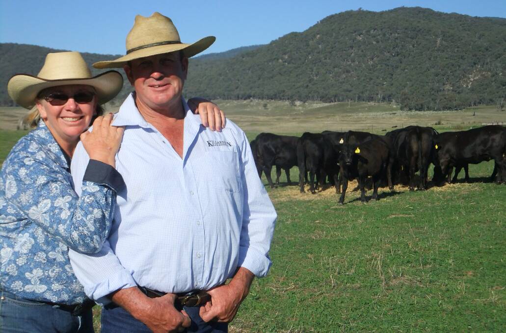 Victorian cattle producers, Kim McConville and Tex Pierce, Mudgegonga, entered teams of black Simmental/Angus steers to evaluate their breeding program.
