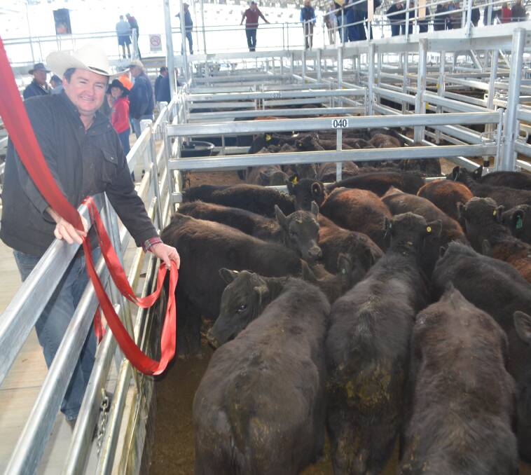 Andrew Ledger, Mullion Angus, Yass, with his pen of 21 Angus heifers, weighing 307kg, which made $1164. Mr Ledger also purchased a heifer from the charity pen in support of Country Education Foundation of Australia.