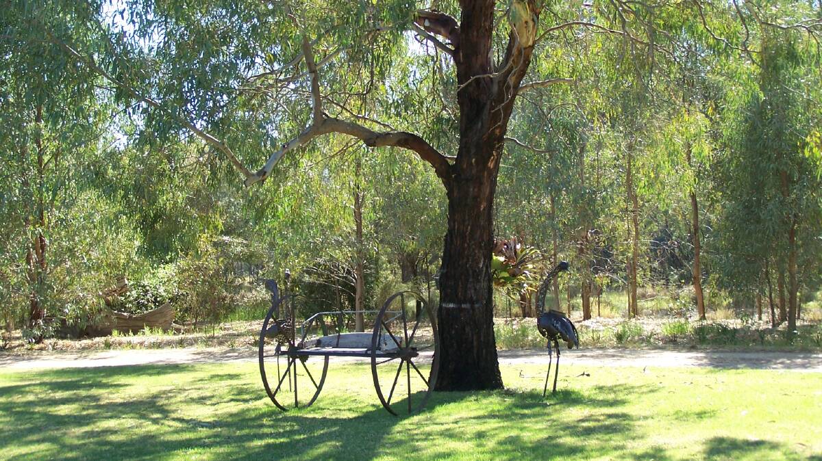 A portion of a garden on the banks of the Murrumbidgee River.