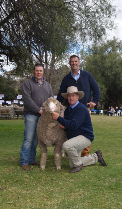 Brett and Nigel Kerin, Kerin Poll Merinos, Yeoval, with their purchase of the top priced Poll Boonoke ram at $46,000 paraded by Angus Munro, Poll Boonoke stud manager, Conargo. 