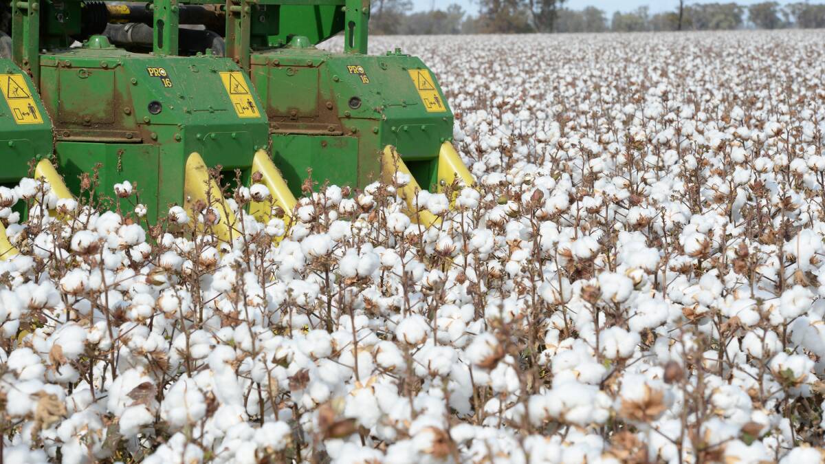 Cotton growers concern about tax