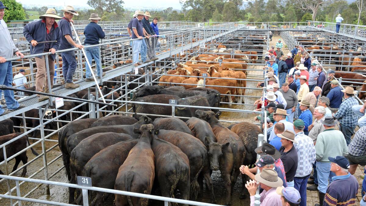 Stewart Smith, Chester and Smith, Bega on the catwalk at Bega. Stock photo