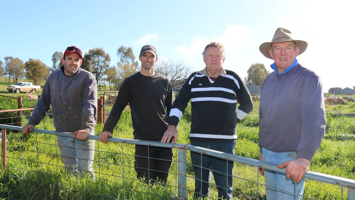 Tom, Tim, Brian and Glenn Curry - The use of confinement has allowed the business to maintain, and even increase, our stocking rate without compromising groundcover when it's dry. Photo: Emily Malone, Graham Centre
