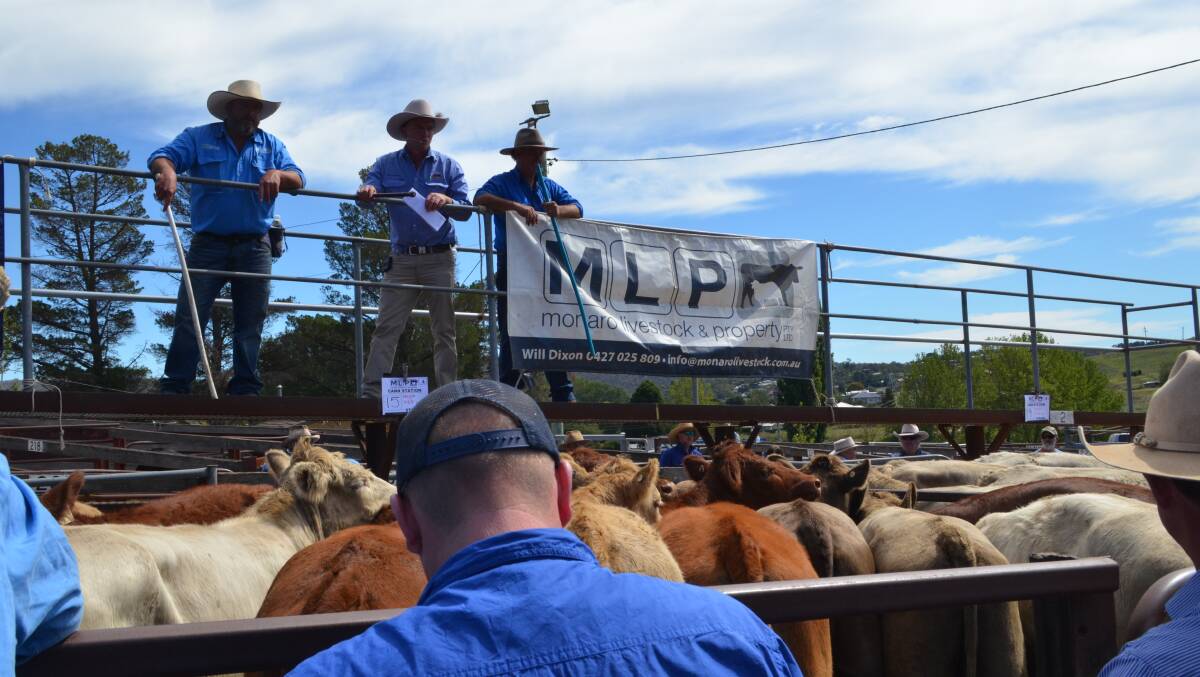 Will Dixon, MLP Cooma, auctioneer James Tierney, RLA, Wagga Wagga and Gary Evans, MLP, Cooma on the catwalk at Cooma.