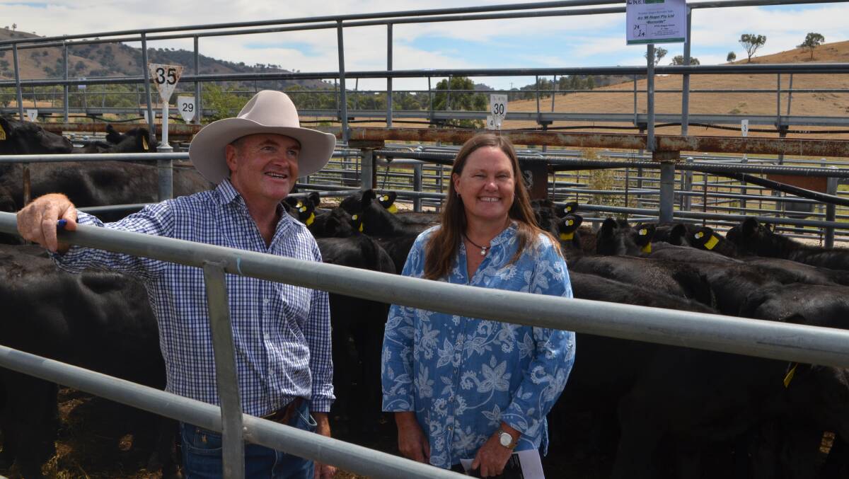Matthew and Janice Reynolds, Mt Hugel, Grahamstown, sold the top price pen of PTIC cows, 3-4 years, and their calves, for $2800 at the Premier sale.
