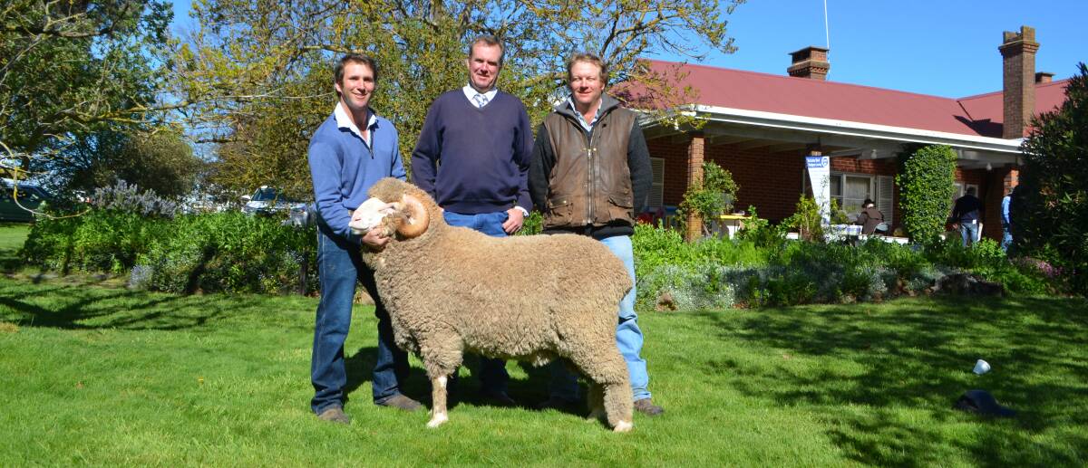 George Henderson, Grogansworth, with auctioneer Paul Dooley, Tamworth and top-price ram buyer, George Haylock, Cooma. 