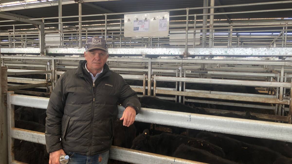 BUR Wodonga director Michael Unthank with the pen of 18 Angus steers weighing 197kg sold for $1030. Photo: NVLX 