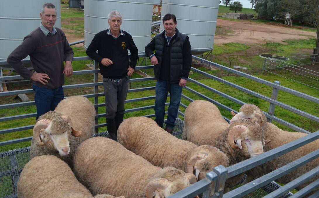 Stud principals Gavin and Peter Lieschke, with stud consultant, Damian Meaburn and a selection of the Merino rams which will be on display at the South West Stud Merino field day. "Our wool is as good if not better than last year".