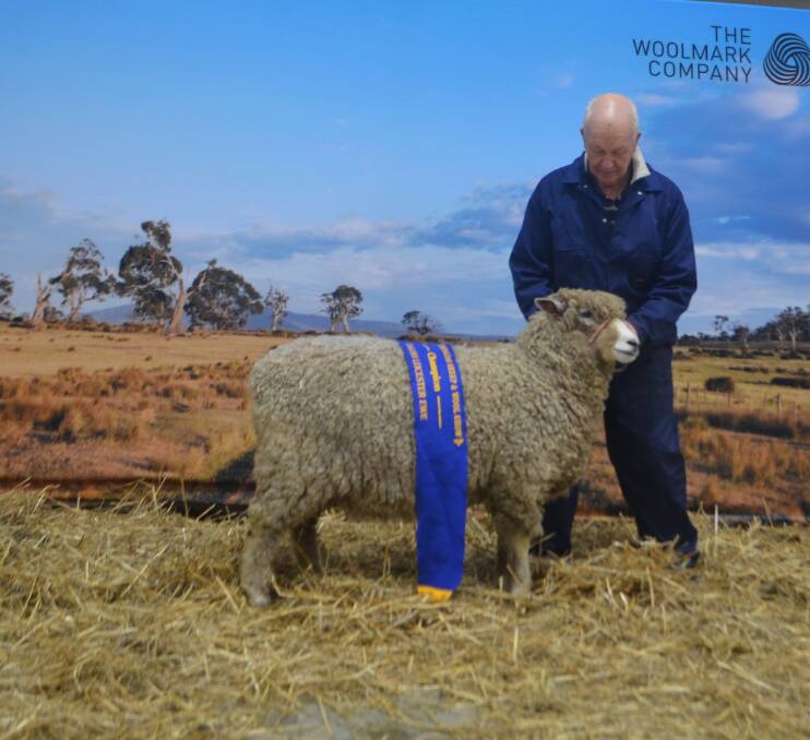 Colin Taylor with his supreme champion English Leicester ewe considered by judge David Jackson to have a tremendous fleece, with long staple and lustre.