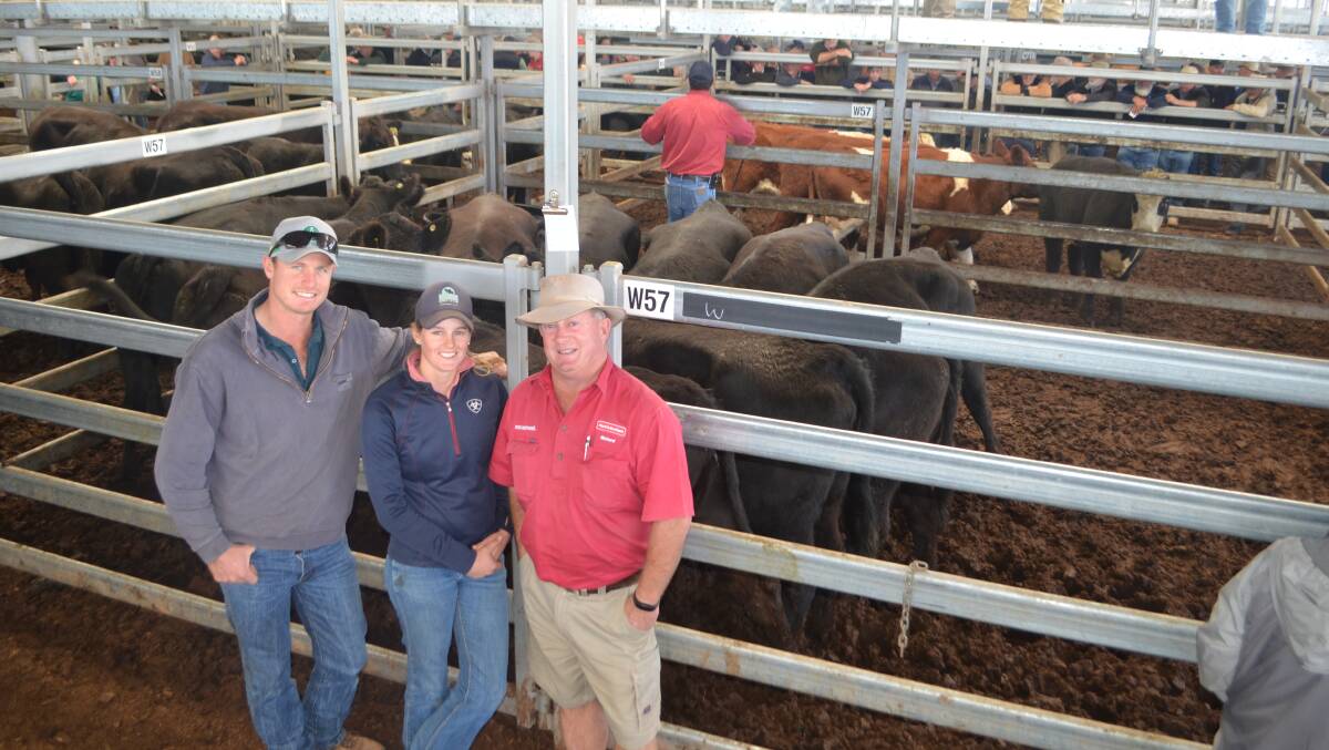 Murk and Kate Schoen, "Killeneen", Corowa, with Richard Wynne, Paull and Scollard, Corowa. Brother and sister sold this pen of 11 mixed-age Angus cows, Lawson-blood, PTIC to Orlanga Angus bulls for $1600.