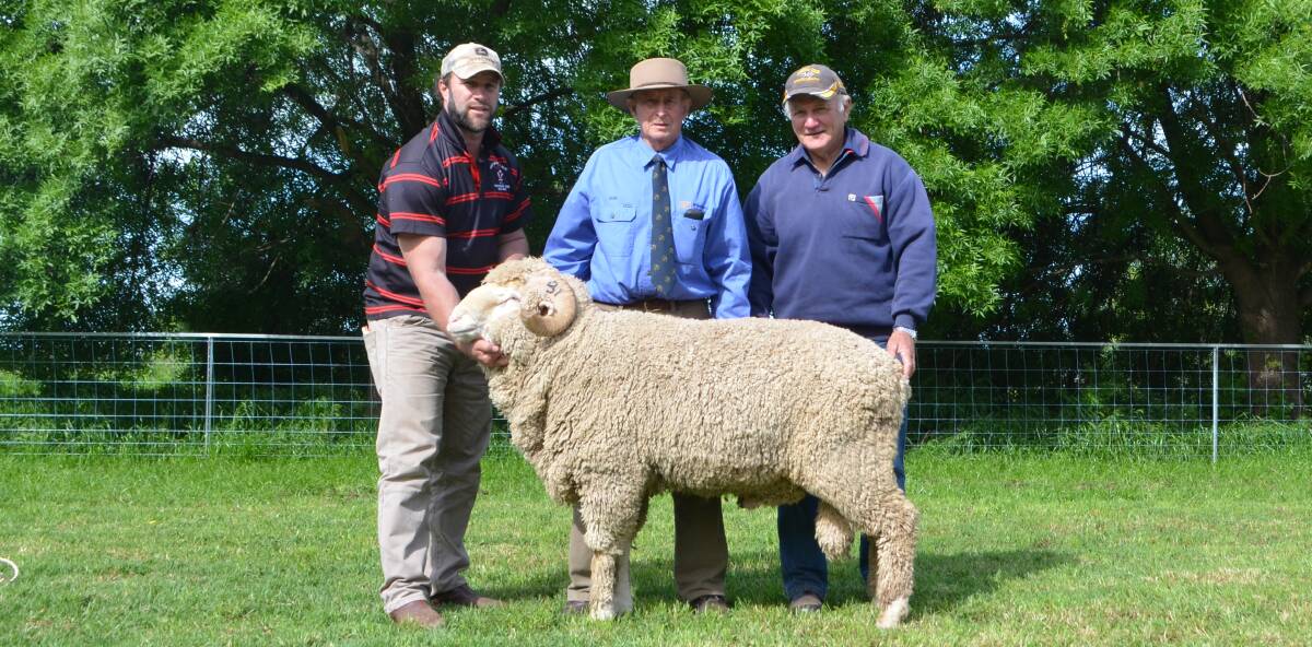Craig and John Johnston, Austral-Eden Merino Stud, West Wyalong, with Ross Wells, Willandra studmaster, (centre) and the top priced Merino ram at $6500.