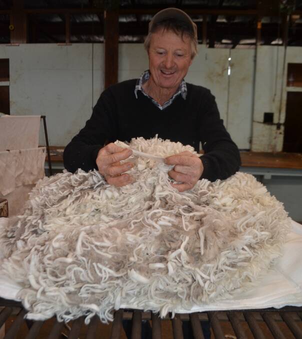 Ron Blyth proudly displaying one of his elite Merino fleeces.