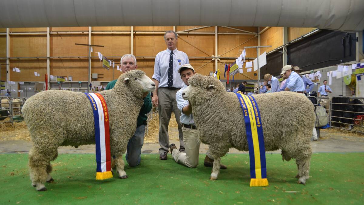 Ric Hoolihan, with grand champion ram, judge Charlie Prell, and Lochlan Ramm, with reserve grand champion.