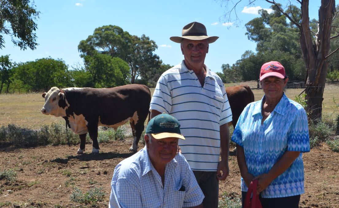 Charlie, John and Jo Coleiro, King Valley Poll Herefords, Young with their purchase Glenholm Mick