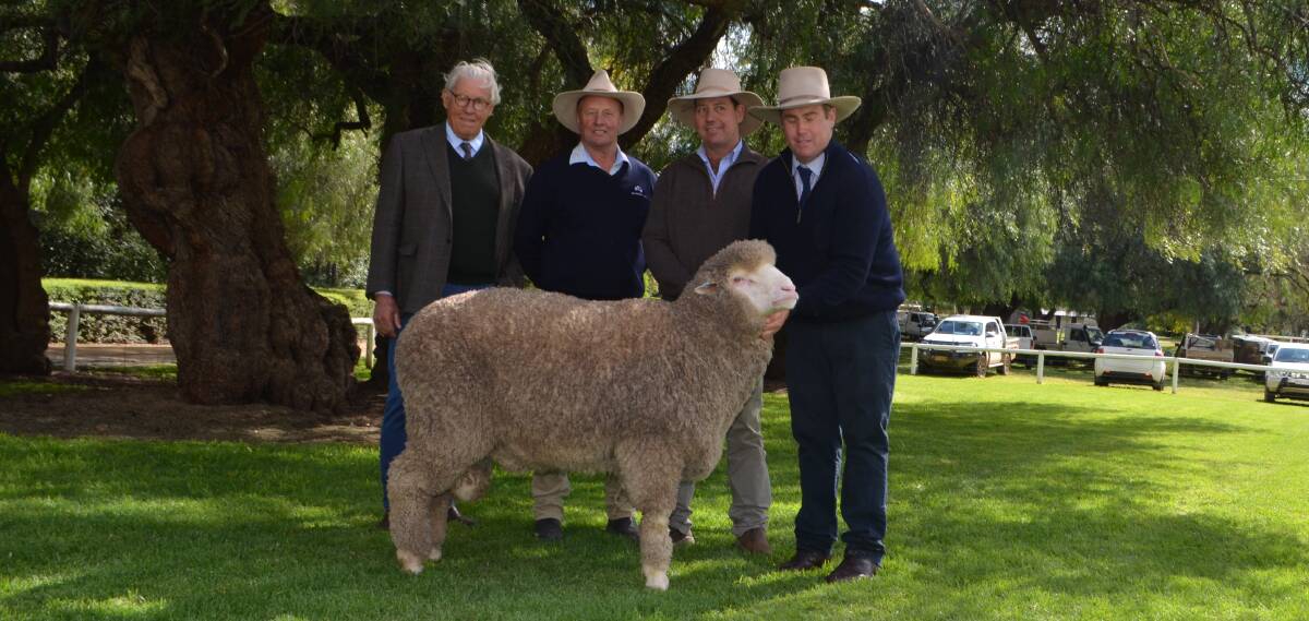 $44,000 Poll Boonoke ram: Colin Bell, AF&A, George Falkiner and Andy McLean, Haddon Rig, Warren, with stud manager, Angus Munro.