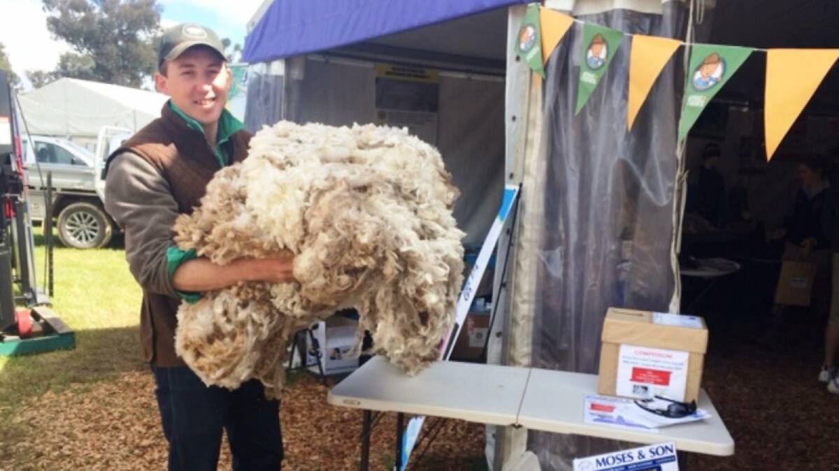 Wool weight: Andrew Gillett “Wunnamurra” Jerilderie NSW guessing the fleece weight at the Moses & Son site at the 2016 Henty Machinery Field Days. Photo: Adele Offley.