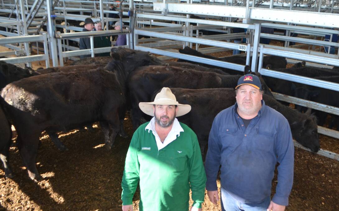 Landmark, Euroa, agent Colin Broughton with his client Mark Beavis, who sold six Angus cows, rejoined with six month old calves for $2650. 
