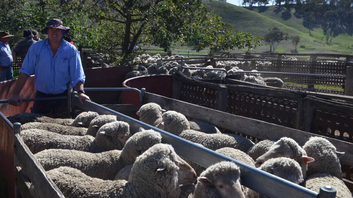 Daniel Fitzell with his Langdene-blood maiden ewes winners of the Southern Tablelands flock ewe championship.