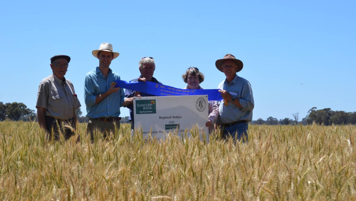In the crop of Lancer wheat winner of the Berrigan Show Society dryland wheat competition and finalist for ASC/Suncorp Dryland Wheat Competition western district: John Dickins, crop judging coordinator Berrigan Show Society, Andrew Hannaford, Suncorp Bank Wagga Wagga district manager, Mark Ryan, "Equity Park", Berrigan, Lyndall Horne, Berrigan Show Society secretary and judge Paul Parker, Young.