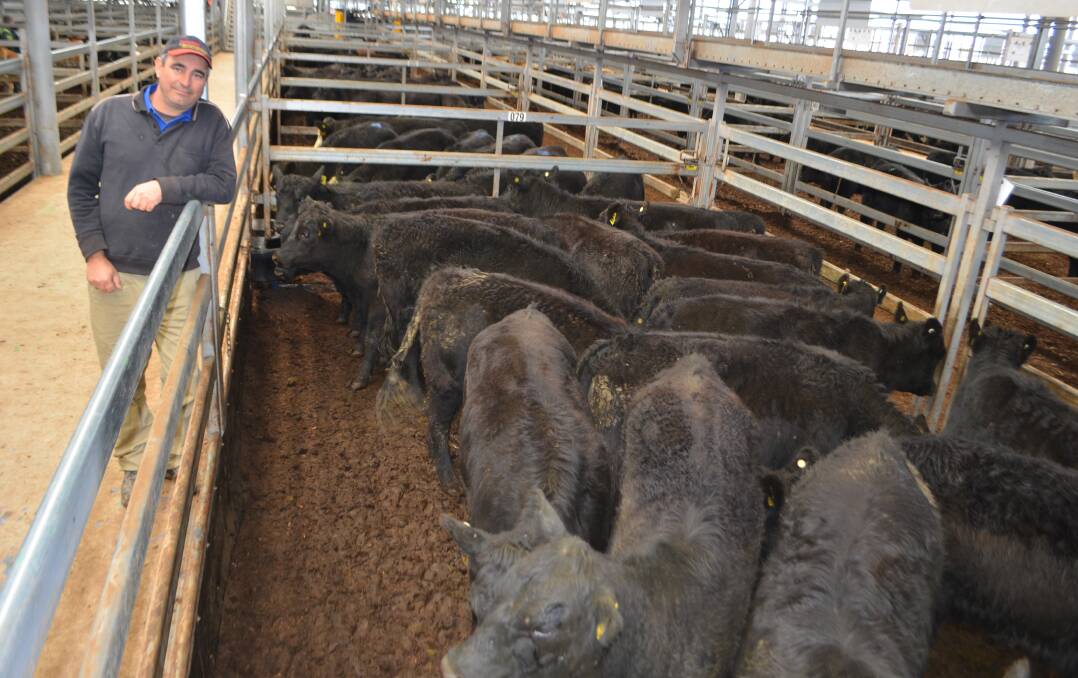 Ivan Peppe, Howlong was very pleased with the return from this pen of 18 Angus heifers, Jarobee-blood weighing 326kg and sold for $1160. The young heifers were surplus to Mr Peppe's requirements, in very good condition.